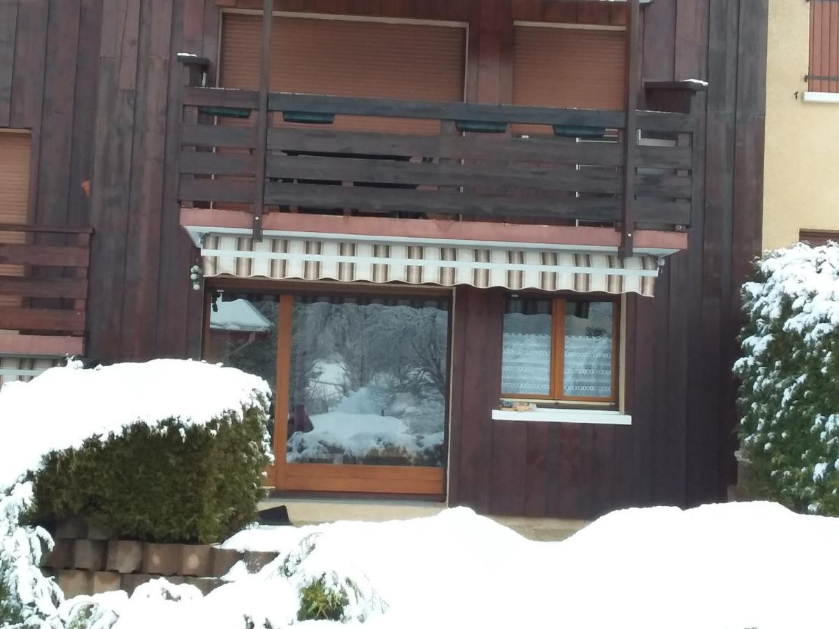 Charmant Duplex De 45M², 2 Chambres, Jardin, Garage, Villard-De-Lans - Fr-1-515-51 Exteriör bild